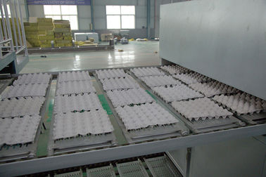 104kw 380v Chicken Egg Tray Machine Roller Type 1 Year Warranty