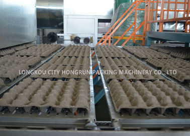 Customized Color Apple Tray Machine / Automatic Egg Tray Machine