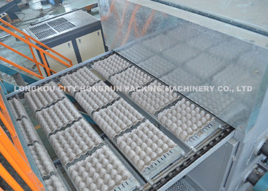 Paper Egg Tray Making Machine , Pulp Molding Machine